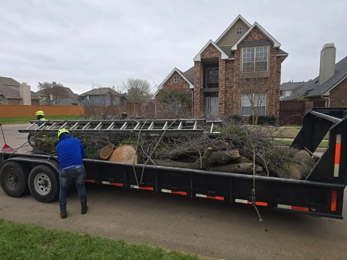 Expert Lot Clearing with proper safety equipment in Killarney